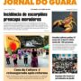 thumbnail of JG1296 correta baixa